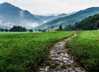 Wycieczka za pośrednictwem biura podróży?