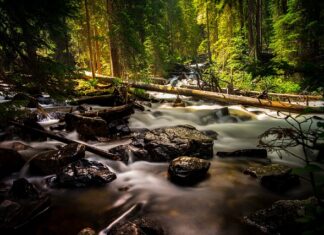 Czy wełniane skarpety są ciepłe?