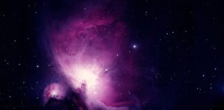 Jakie skarpetki do czarnych butów?