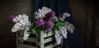 Co zamiast skrzynki na koperty?