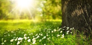 Jak nosić białe buty męskie?