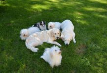 Jak siedzieć w płaszczu? Jak siedzieć w płaszczu?