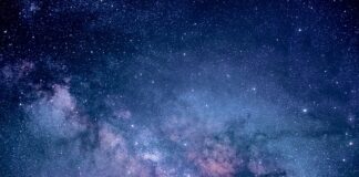 Jaka torebka do jasnej sukienki?