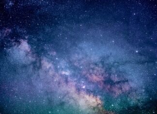 Jaka torebka do jasnej sukienki?