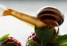 Ile kosztuje rozciągnięcie butów? Ile kosztuje rozciągnięcie butów?