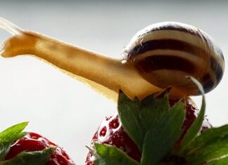 Ile kosztuje rozciągnięcie butów?