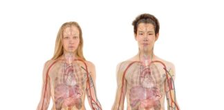 Po czym poznać że nerki są chore?