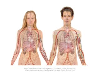 Po czym poznać że nerki są chore?