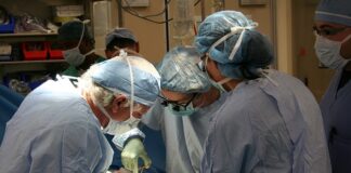 Czego nie wolno robić po przeszczepie nerki?