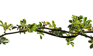 Dlaczego ciągle mam zatkany nos?