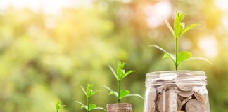 Czy świadkowie dają pieniądze na prezent?