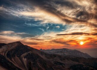 Do czego pasuje złota torebka?