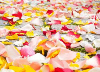 Co to znaczy 9 róż?