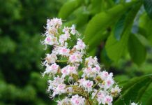 Czego się życzy przed maturą?