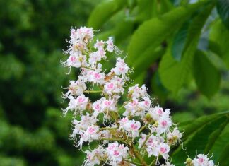 Czego się życzy przed maturą? Czego się życzy przed maturą?