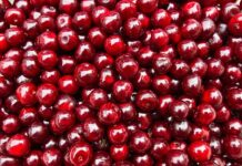 Jak zrobić konfitury z róży? Jak zrobić konfitury z róży?