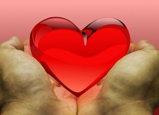 Czego nie można robić po oddaniu nerki?