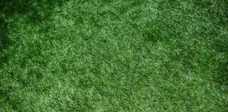 Czy czapka to okrycie wierzchnie?