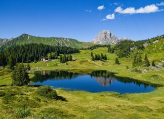 Co dać w podziękowaniu gościom weselnym?